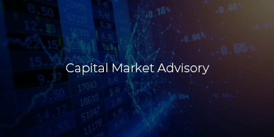 Capital Market Advisory