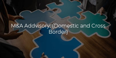 M&A Addvisory (Domestic and Cross Border)