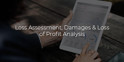 Loss Assessment, Damages & Loss of Profit Analysis